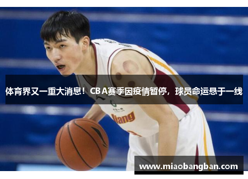 体育界又一重大消息！CBA赛季因疫情暂停，球员命运悬于一线